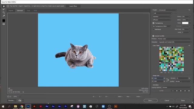Photoshop   Export GIF