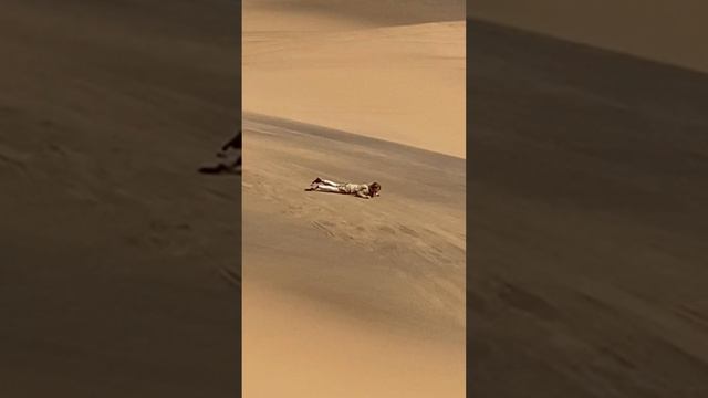 Намибия 2024 смотреть онлайн