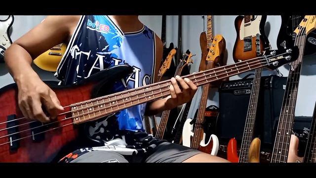 FERNANDES PJ BASS 24 FRETS смотреть онлайн