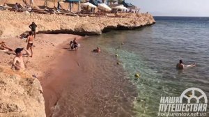 Grand Oasis Resort 4*  Египет Шарм, краткий обзор отеля