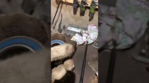 Форд c-max, фокус , часть 2 замена трубки кондиционера и подшипника компрессора кондиционера