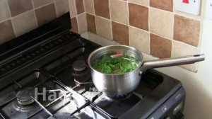 10 ЛАЙФХАКОВ для пермакультурного САДА и ОГОРОДА на 2023 год