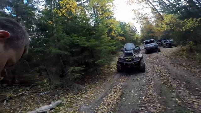 День рождения "Лесника" 04.10.2014 смотреть онлайн