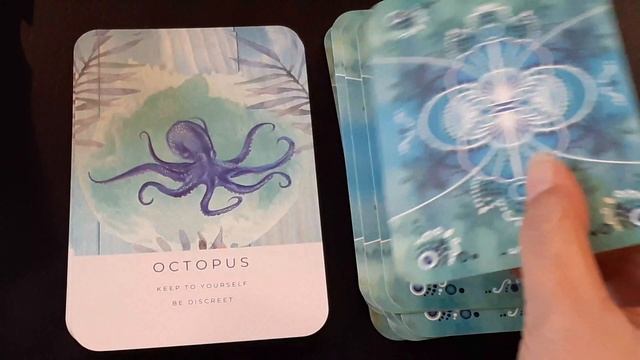 Oracle Review Salt + Sea Energy Oracle Deck by Rachel Robino смотреть онлайн