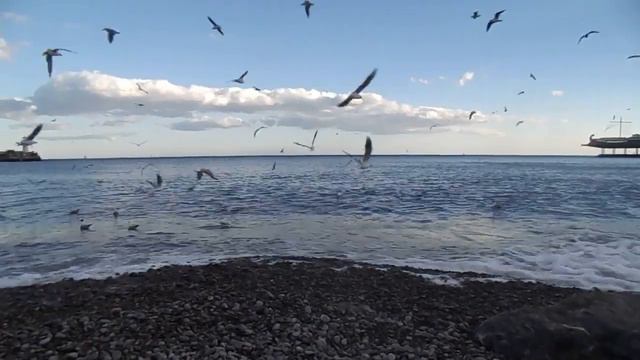 Черное море 1 смотреть онлайн