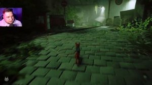 ОДЕЖДА ДЛЯ ЭЛЛИОТА - Stray #8