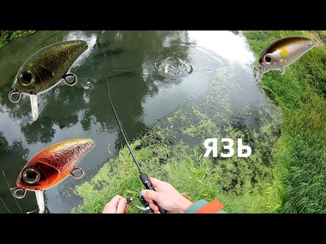 Ловля ЯЗЯ. Воблеры Bug minnow 25 SR Smith Camion SR смотреть онлайн