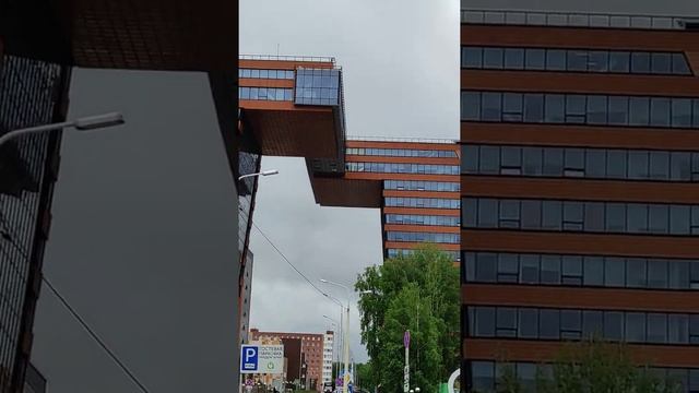 Прогулка по Академгородоку Новосибирск