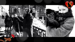 Как Кошки Спасли Блокадный Ленинград!!!