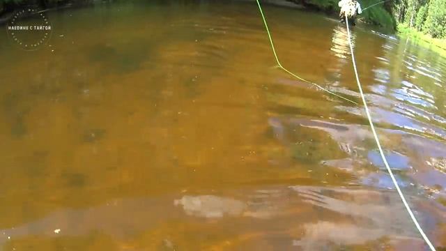 ДЕНЬ РЫБАКА С БАТЕЙ В ЛЕСУ / РЫБАЛКА НА ХАРИУСА / 2 ДНЯ В ТАЙГЕ / ЛУЧШИЙ ОТДЫХ! смотреть онлайн