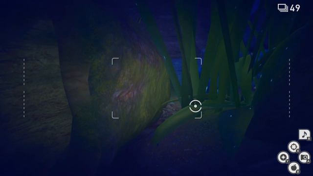 New Pokémon Snap - Playthrough - Part 21 (Nintendo Switch) смотреть онлайн