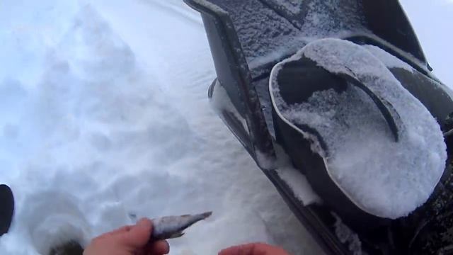 В ТАЙГУ С НОЧЕВКОЙ В -35! / ДОМ НА ЛЬДУ / МНОГО ЗАГАРОВ / РЫБАЛКА НА ЖЕРЛИЦЫ / Часть 1 смотреть онлайн