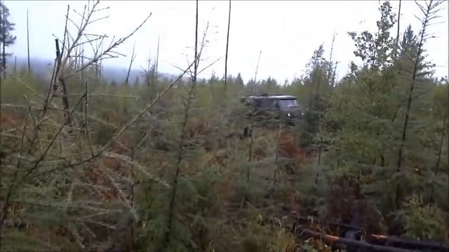 За брусникой смотреть онлайн