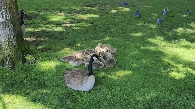 Набережная Портленда