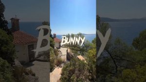 [FREE] Bunny | Trap type beat 123 BPM D# minor [Prod DNA ON THE TRACK]