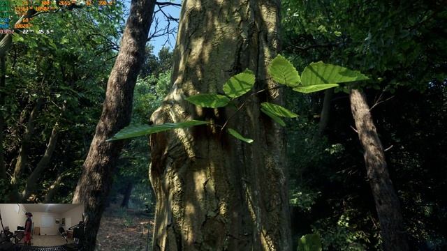 Unreal Engine 5.1 VR Nanite Trees with Lumen смотреть онлайн