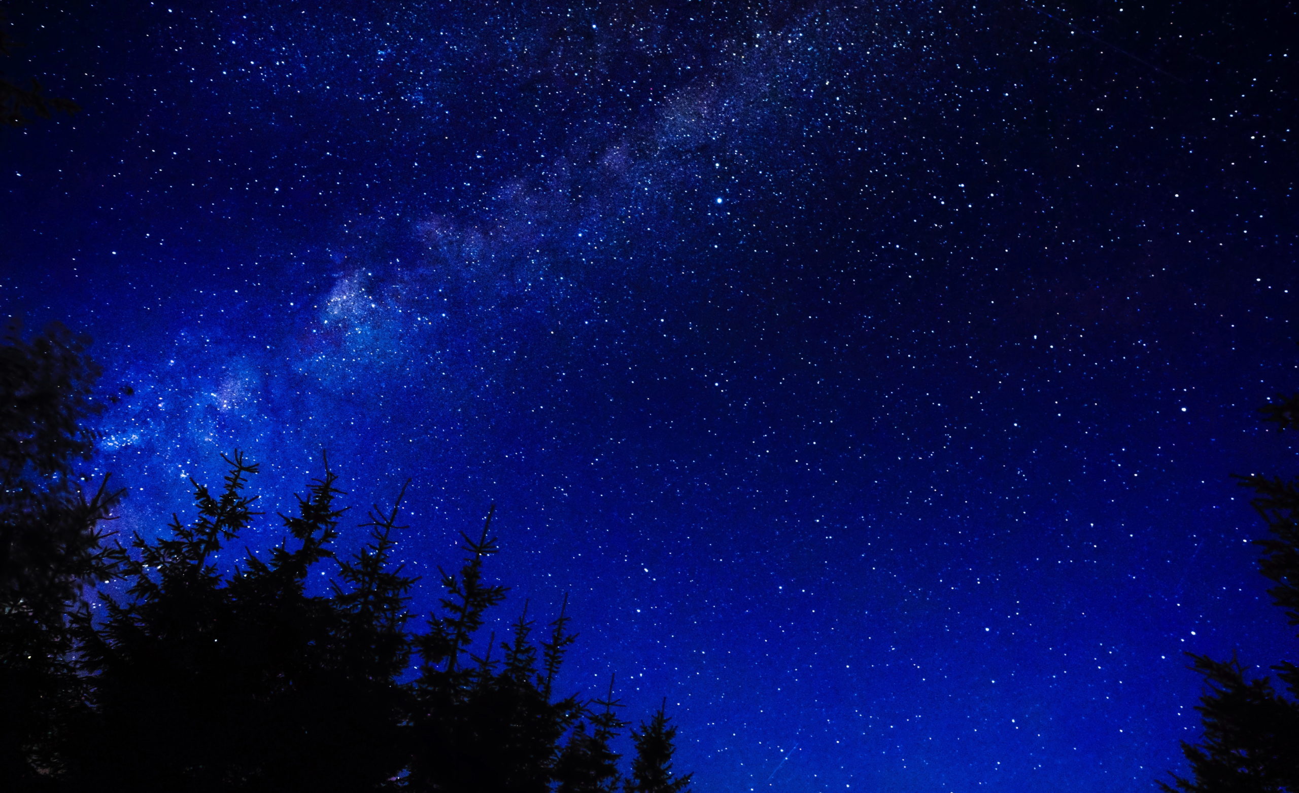 этот большой мир смотреть онлайн