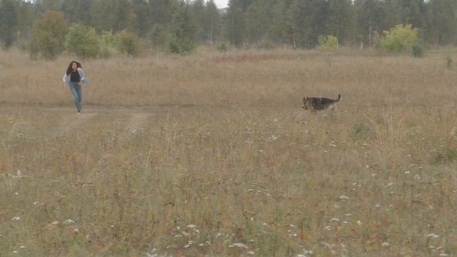 Джейкоб в поле и вертолет в небе смотреть онлайн