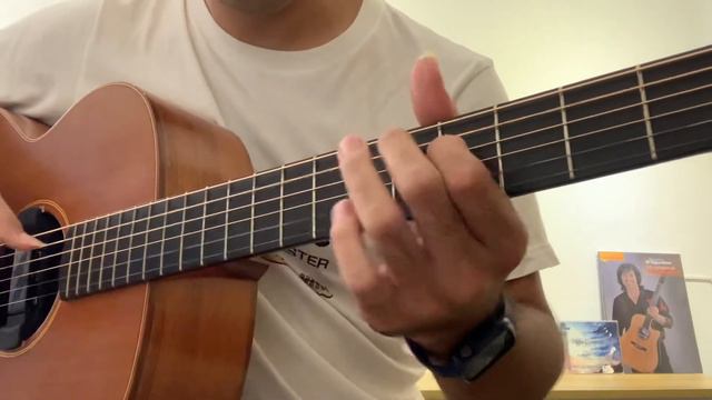 潘世程 - Nine White Kites (Peppino D’Agostino) Lowden O-10 смотреть онлайн