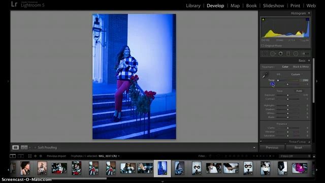 Lightroom 5 Tutorial | White Balance