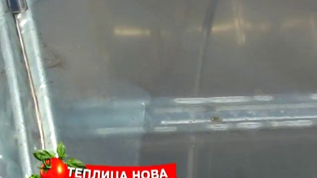 Теплица выпуск 1 смотреть онлайн