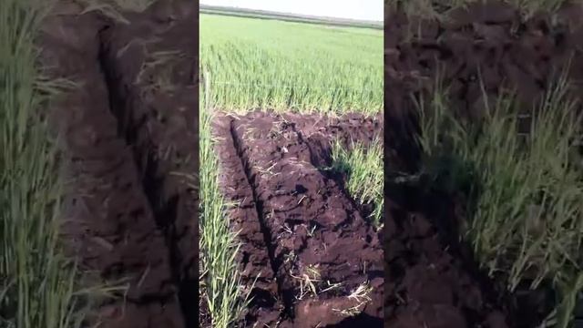 фундамент своими руками смотреть онлайн