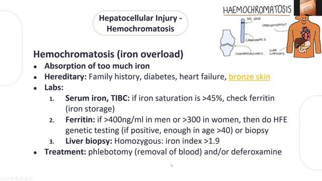طبيب الامتياز : عبدالرحمن القويز | شرح محاضرة Abnormal Liver Function Tests #مبادرة_تعاون смотреть онлайн