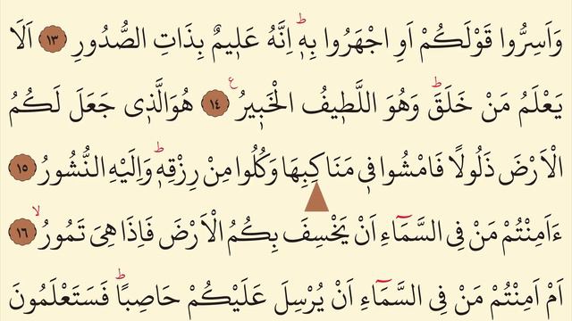 Mülk Suresi Hızlı Okuma (Tebareke) | Ok Takipli | Bilgisayar Hattı | İsmail Damar | 4K