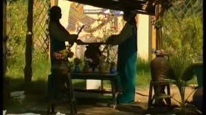 Каир 2 Египет Путешествия натуралиста