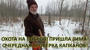 Охота и рыбалка. Проверка капканов на бобра.