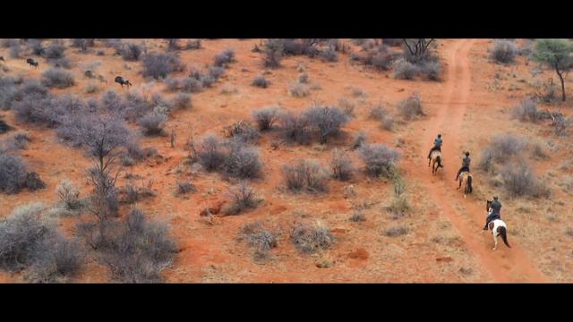 Horseback safari in Namibia – discovering the savannah in the saddle смотреть онлайн