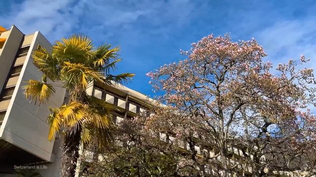 The most beautiful spring you'll ever see! ?? Montreux Switzerland 4K смотреть онлайн