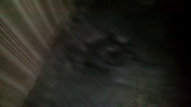 Магическая отрада и испытание