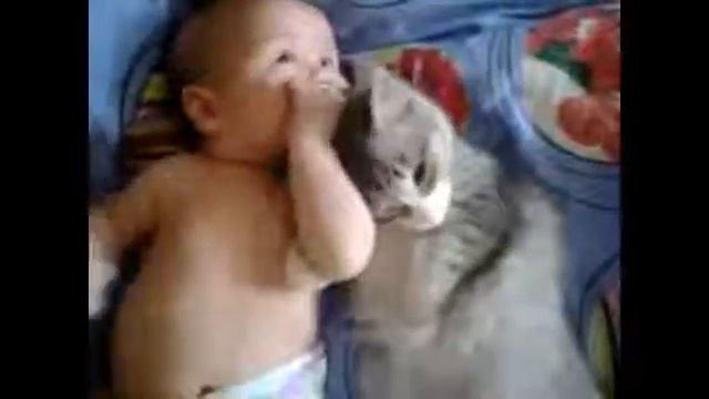 Малыш и кошка смотреть онлайн
