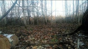 Мотоблок карвер, дикий перегруз жизнь калхозника, Carver MT 700, #7-Часть