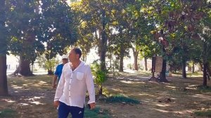 Абхазия.  Санаторий МВО, Сухум.  Эшера