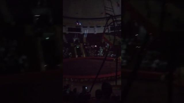 ЦИРК В ТАШКЕНТЕ. 1 СЕНТЯБРЯ 2022 ГОД смотреть онлайн