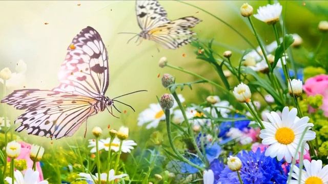 Колыбельные перед сном и успокаивающая подводная анимация Детская колыбельная смотреть онлайн