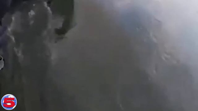 Hopping the Border смотреть онлайн