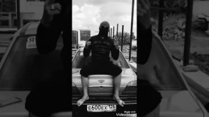 Чорни дилфины