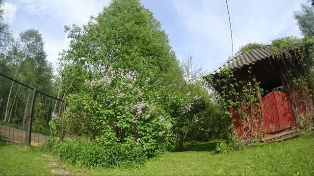 Сирень на даче. июнь смотреть онлайн
