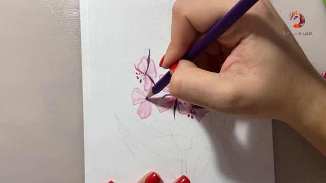 Рисуем Иван-чай Цветными Карандашами! ? смотреть онлайн
