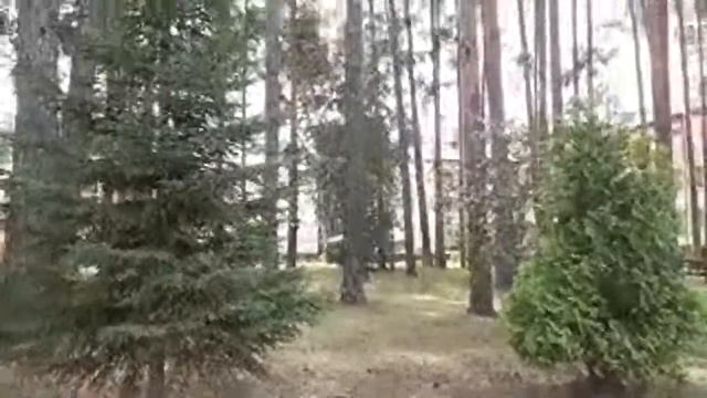 Санаторий Красная Гвоздика.Территория. смотреть онлайн