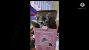 positif fuse ( no copyright music ) by france fuse