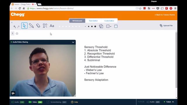 Sensory Threshold | Psychology | Chegg Tutors смотреть онлайн