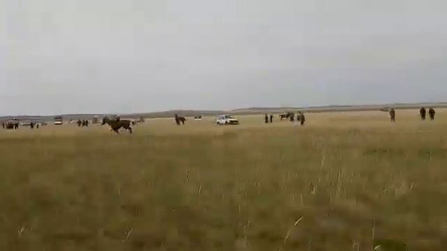 Семей Знаменка 2019 жыл смотреть онлайн