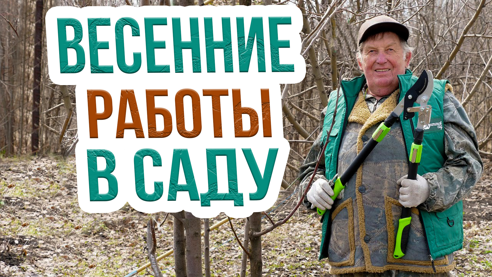 Обрезка плодовых деревьев весной. Как обрезать яблоню весной? Мастер-класс от А.С. Сидоровича смотреть онлайн