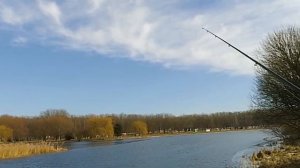 Бюджетные спиннинги для джига. Часть 4. Maximus Wild Power X.