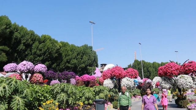 Парк цветов в Дубай - Dubai Miracle Garden (10-02-2023) смотреть онлайн