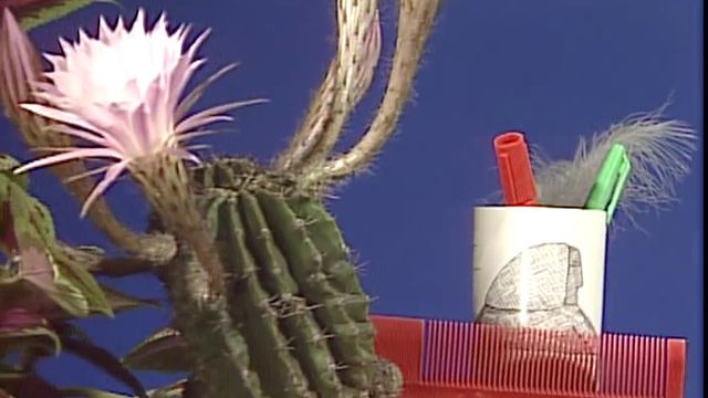 Cactus - Original смотреть онлайн
